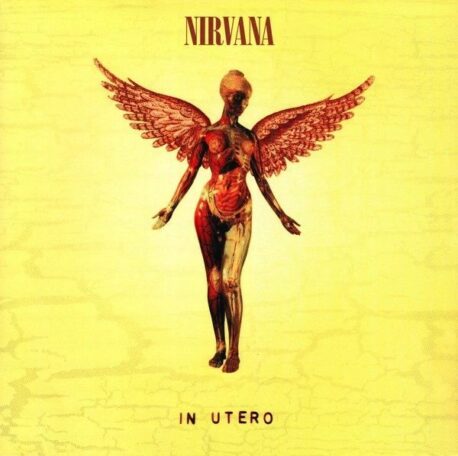 IN UTERO