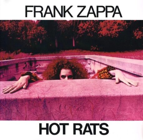 HOT RATS