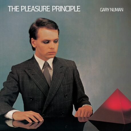 THE PLEASURE PRINCIPLE - THE FIRST