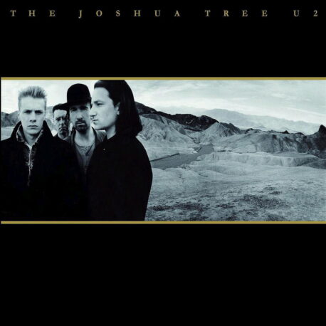 THE JOSHUA TREE