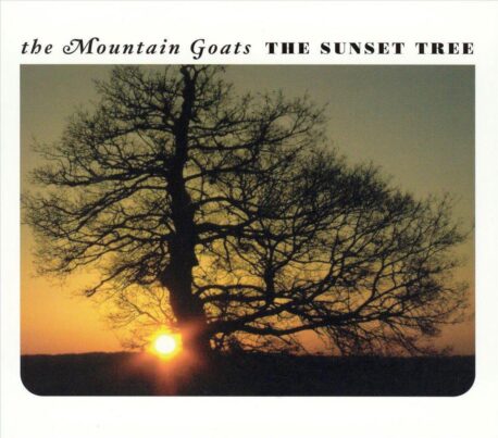 THE SUNSET TREE