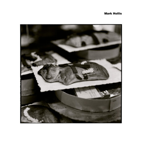 MARK HOLLIS